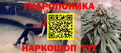 spice Абинск