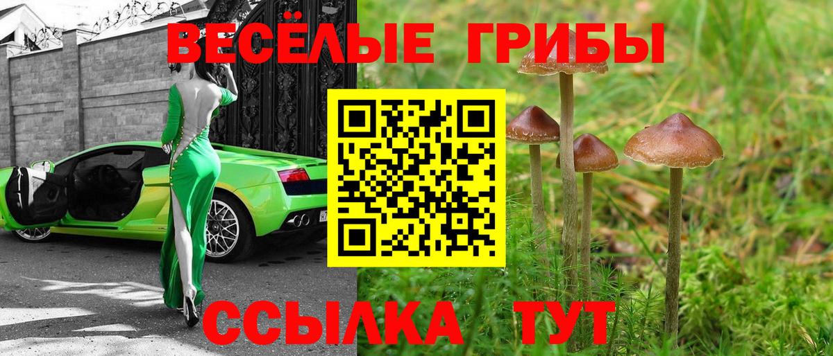 Псилоцибиновые грибы Psilocybine cubensis Амурск