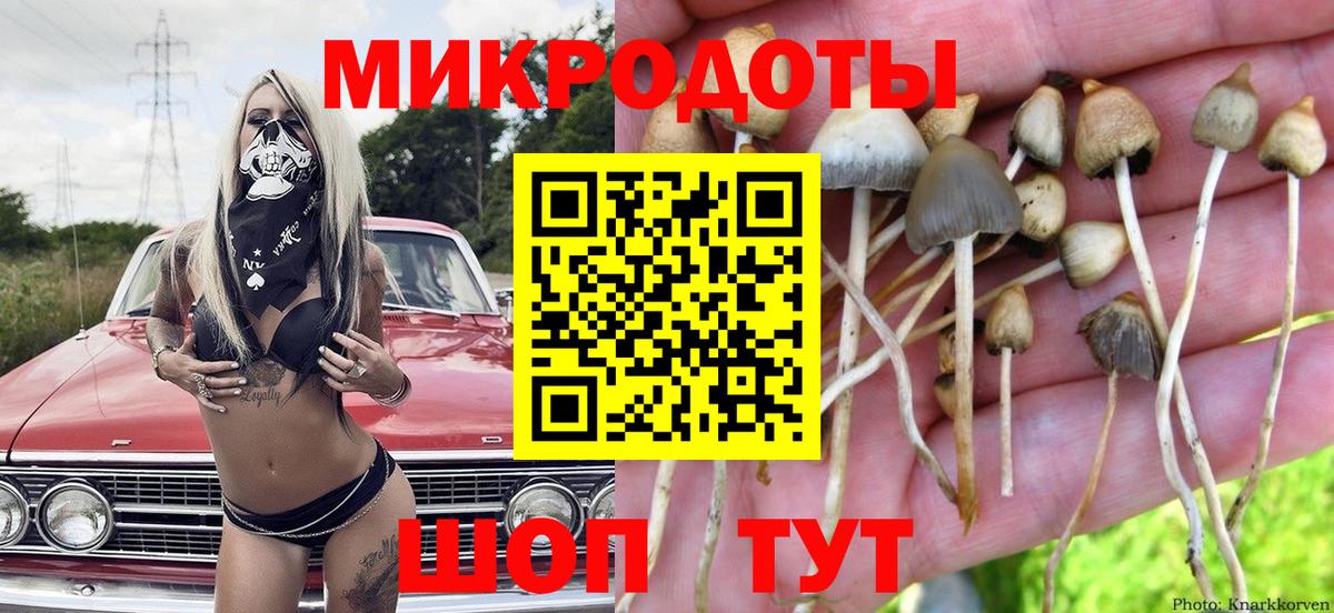 Псилоцибиновые грибы ЛСД  Вход с VPN  закладка  Амурск  Псилоцибиновые грибы Psilocybe 